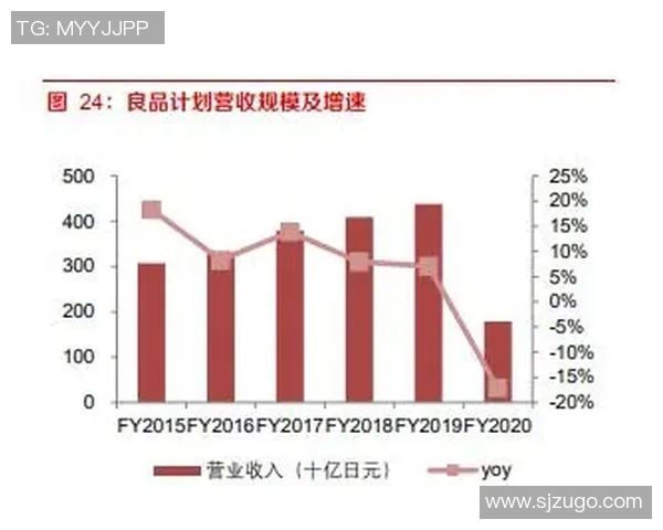赛后分析：杭州排球队与南京排球队的团队协作与战术对比探讨