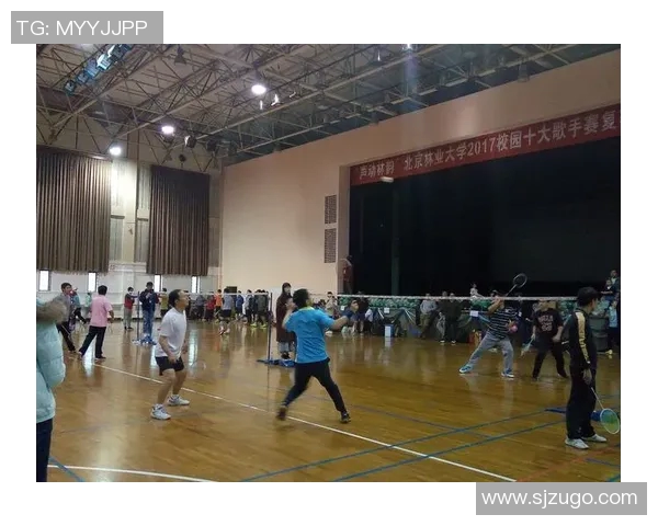 赛后分析：杭州羽毛球队与北京羽毛球队的战术意识与表现对比