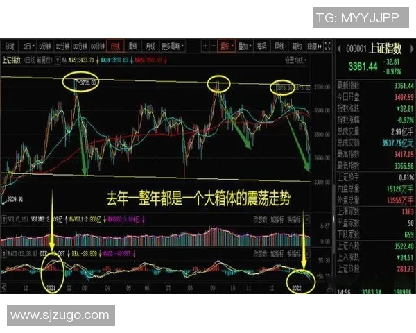 足球明星如何影响股票市场的波动与投资者心理分析
