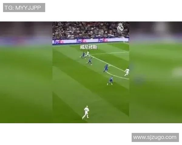 足球明星小白鞋背后的传奇故事与梦想追逐之旅