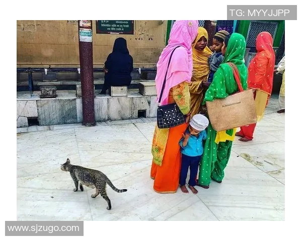 足球明星搞怪外号盘点趣味十足的另类称呼大揭秘 足球明星搞怪外号盘点趣味十足的另类称呼大揭秘