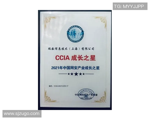 足球明星李华的成长历程与辉煌成就全景解析